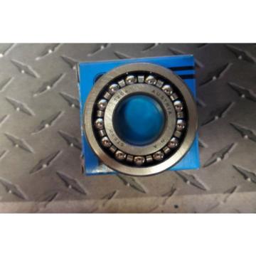 INA Spherical Roller Bearing 1204AH New