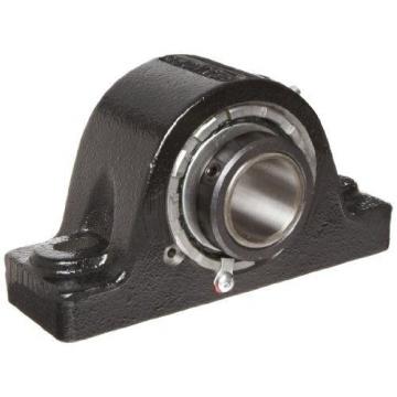 Link-Belt PB22423H Spherical Roller Bearing Pillow Block, 2 Bolt Holes,