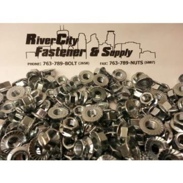 (25) M10-1.25 or 10mm x 1.25 Serrated Flange Spin / Wiz Lock Nuts Metric