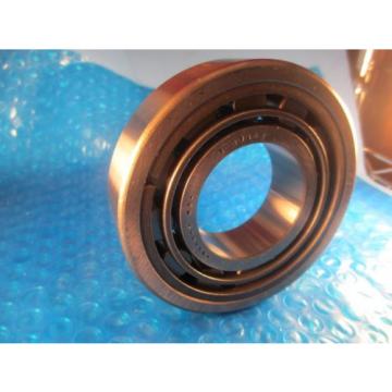 Rollway A-1311-TS, 1311 BK, Double Row Self-Aligning Bearing