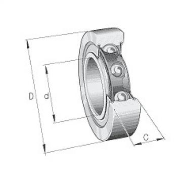 LR200NPPU INA Support Roller