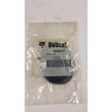 NEW SEAL KIT FOR A BOBCAT 599555  Pump