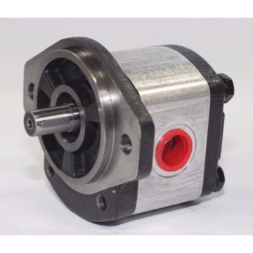 Hydraulic Gear 1PN146CG1P13D3CNXS 14.6 cm³/rev 250 Bar Pressure Rating Pump