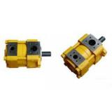 Sumitomo QT Series Gear Pump