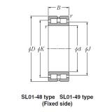 Bearing SL01-4980